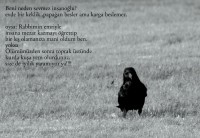 /album/sanat/kara-karga-jpg/